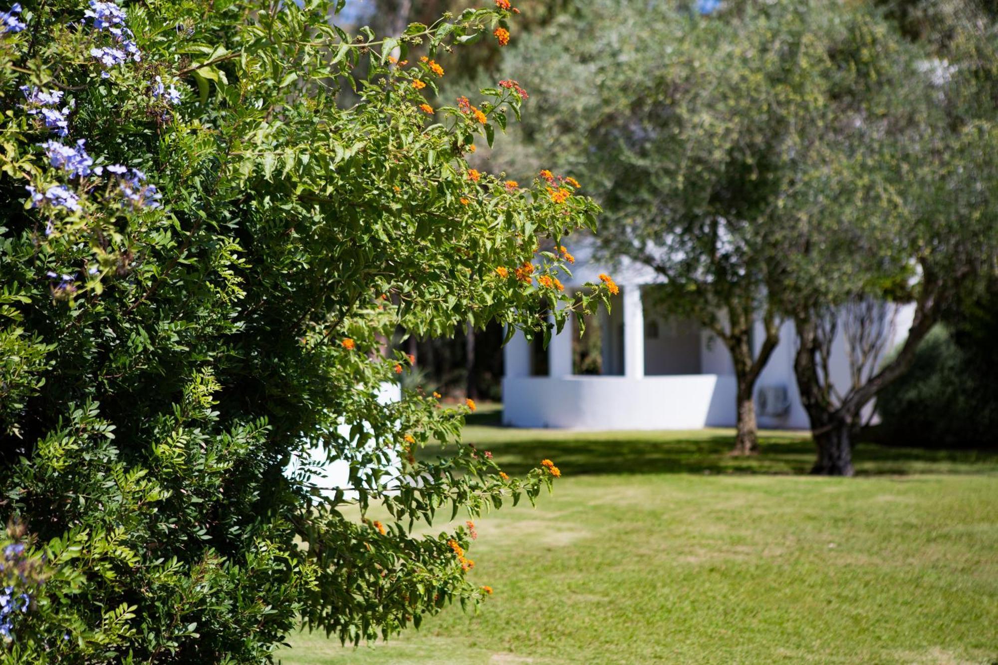 Hotel Flamingo Santa Margherita di Pula Pokój zdjęcie