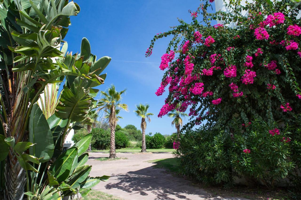 Hotel Flamingo Santa Margherita di Pula Zewnętrze zdjęcie